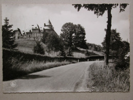 Environs D'Erezée, Château De Blier - Erezée