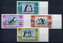 BAT                                       78/81  **   BDF     Penguin/pingouin - Nuevos