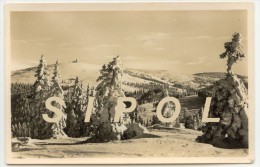 Feldbergmassiv Von Stübenwasen Gesehen  Sépia  Carte Photo 14x 9 Cm TBE - Ditzingen