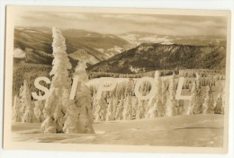 Blick A.Todnauer Hütte U.Wiesental. Feldberg  1495 M Carte Photo Sépia 14 X 9 CmTBE - Ditzingen