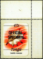 CONESHELL-OVPT-OFFICIAL-SPECIMEN-SELF ADHESIVE-TONGA-B9-286 - Coquillages