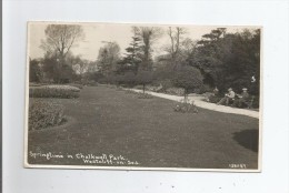 WESTCLIFF ON SEA 138087 SPRINGTIME IN CHALWELL PARK 1934 - Southend, Westcliff & Leigh