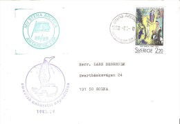 CARTA 2003 PAQUEBOT ARTIC - Covers & Documents