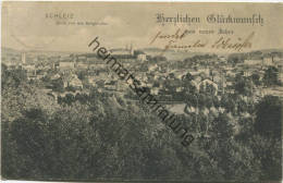 Schleiz - Blick Von Der Bergkirche - Verlag H. Körner Schleiz Gel. 1911 - Schleiz