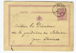 Belgique - Entier Postal  Au Départ De Chatelet En 1873 -  Référence 497 - Postkarten 1871-1909