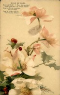 FLEURS - Détaillons Collection - A Voir - 11145 - Flowers