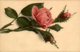 FLEURS - Détaillons Collection - A Voir - 11150 - Flowers