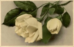 FLEURS - Détaillons Collection - A Voir - 11151 - Flowers