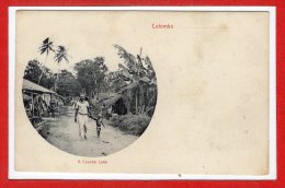 ASIE --  SRI LANKA - ( CEYLON )  -  Colombo - A Country Lane - Sri Lanka (Ceylon)