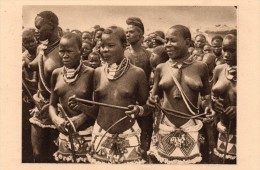 TCHAD  -  Jeunes Filles Moundang De Léré  (seins Nus) - Tchad