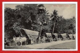 ASIE --  SRI LANKA - ( CEYLON )  - - Native Transport - Sri Lanka (Ceylon)