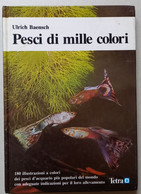 PESCI DI MILLE COLORI - EDIZ TETRA-VERLAG 1983  ( CART 76) - Autres & Non Classés