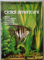 CICLIDI AMERICANI - EDIZIONE OLIMPIA  DEL 1983 ( CART 76)) - Altri & Non Classificati