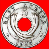 • GREAT BRITAIN HOLE: EAST AFRICA ★ 5 CENTS 1955!  LOW START ★ NO RESERVE! - Colonie Britannique