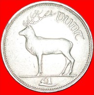 § DEER: IRELAND ★ 1 POUND 1995! LOW START ★ NO RESERVE! - Ierland