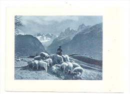 Suisse Idyll In Den Bergen Dans Les Grisons Berger Moutons - Autres & Non Classés