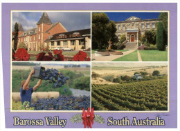 (446) Australia - SA - Barossa Valley - Barossa Valley