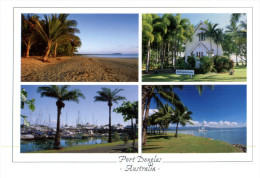 (446) Australia - QLD - Port Douglas Palm Trees - Árboles