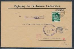 Liechtenstein  Seltener Dienstz Brief  ( Zz9708 ) Siehe Scan ! - Briefe U. Dokumente