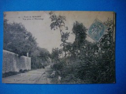 Forêt De SENART  -  91  -  Vue Prise De L´Hermitage  -  Essonne - Sénart