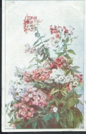 FLEURS - Détaillons Collection - A Voir - 11157 - Flowers