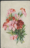 FLEURS - Détaillons Collection - A Voir - 11159 - Flowers