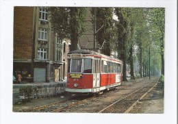 PRES DU CROISE LAROCHE (MARCQ EN BAROEUL) 01 LIGNES DE TRAMWAYS DE LILLE ROUBAIX TOURCOING DITES MONGY - Marcq En Baroeul