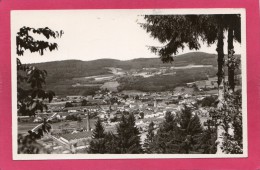 88 VOSGES GRANGES-sur-VOLOGNE, Vue Générale, Usine De Nappes,  1951, (C. Liévaux, Granges) - Granges Sur Vologne