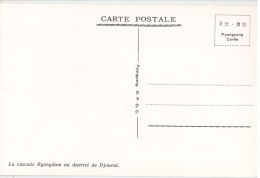 KOREA  - PYONGYANG - LE CASCADE RYONGDAM ( DJOUEUL ) - 1970s ( 463 ) - Korea (Noord)