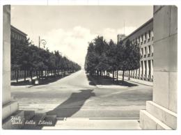 Delcampe - FORLI VIALE DELLA LIBERTA' VIAGGIATA FG - Forlì