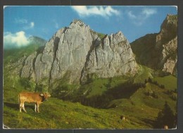 WÄGITAL SZ Bockmatli Gasthaus STAUSEE INNERTHAL 1977 - Innerthal