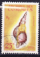 2016-0253 Comores Yvert 24 Oblitéré O, Rayon Blanc Du Au Scan - Usados