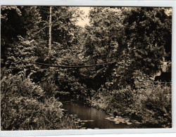 Wörlitz - Wörlitzer Park - Die Kettenbrücke - Woerlitz