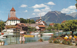 Suiza--Bern--Spiez Am Thunersee Mit Schoss Und Sigriswilergrat-- - Sigriswil