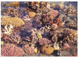 (45) Australia - QLD - Great Barrier Reef - Great Barrier Reef