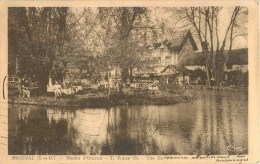 ORGEVAL LE MOULIN ILE 78 - Orgeval