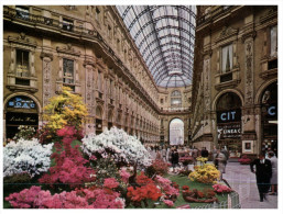 (357) Italy - Milano Galerie Victor Emmanuel - Halles