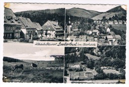 D6130   LAUTENTHAL  ( Multiview) - Langelsheim