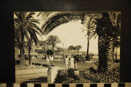 CP, 06, NICE, Un Coin De La Promenade Des Anglais, 1958, Animée - Panoramic Views