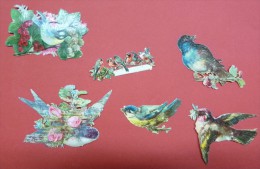 6 Découpis Oiseaux Hirondelle, Moineaux - Animals