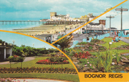 Reino Unido--Bognor Regis--The Beach-Floral Gardens-Esplanade Gardens - Bognor Regis