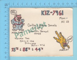 QSL  -Swanton Vermont  USA - Mad Dog, Mad Cat -  2 Scans - CB-Funk