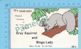 QSL  - Troy Vermont USA - Gray Squirril & Bingo Lady -  2 Scans - CB-Funk