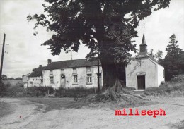 Pont-à-Celles - Chapelle Notre Dame De Grâce - Editeur: Maison ROCH , P-à-C     (4071) - Pont-a-Celles