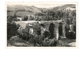 Brignais - Vestiges Des Aqueducs Romains Qui Amenaient L' Eau à Lyon - CPSM - Brignais