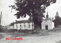 Pont-à-Celles - Chapelle Notre Dame De Grâce - Editeur : Maison ROCH - NELS  (4091- 2 ) - Pont-à-Celles