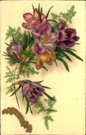 N°1172 PPP 381 SAINTE CATHERINE BOUQUET DE CROCUS ET PAILLETTES PITTIUS - Sainte-Catherine