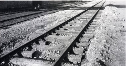 Original Negativ Half Ties Frankfurt/Main East Yard 1953 - Spoorweg