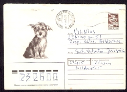 1988 Fauna Pet Baby Dog Hunde On Russia Russie USSR Used Cover Issued 16 08 1988 Postal Stationary URSS Entier - Dogs