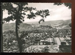 CPM Allemagne RUDOLSTADT Vue Générale - Rudolstadt